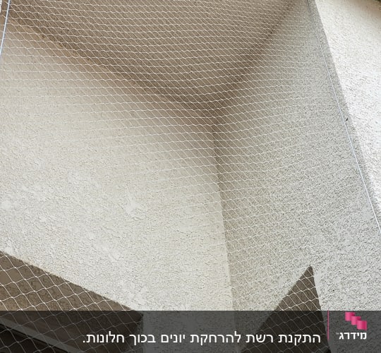 רשת מותקנת למניעת כניסת יונים למרפסת